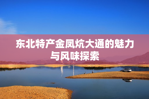 东北特产金凤炕大通的魅力与风味探索