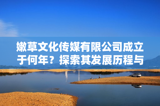 嫩草文化传媒有限公司成立于何年？探索其发展历程与未来愿景