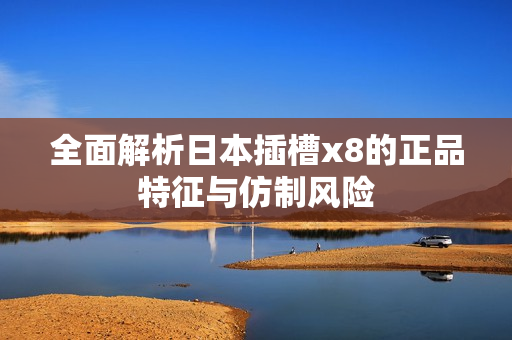 全面解析日本插槽x8的正品特征与仿制风险
