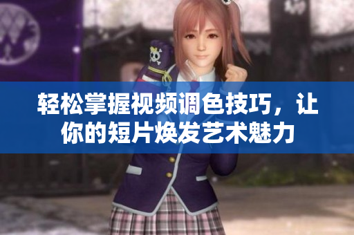 轻松掌握视频调色技巧，让你的短片焕发艺术魅力