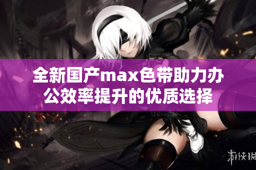 全新国产max色带助力办公效率提升的优质选择
