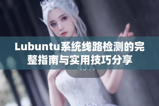 Lubuntu系统线路检测的完整指南与实用技巧分享