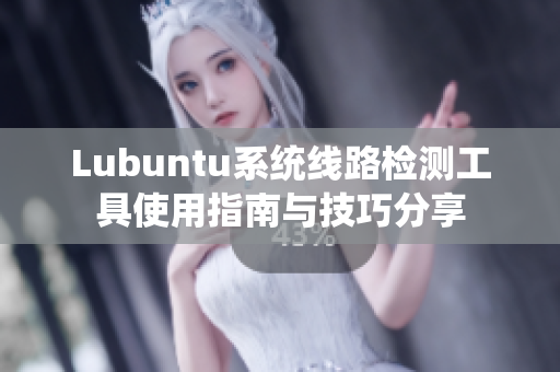 Lubuntu系统线路检测工具使用指南与技巧分享