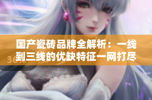 国产瓷砖品牌全解析：一线到三线的优缺特征一网打尽