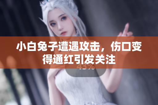 小白兔子遭遇攻击，伤口变得通红引发关注