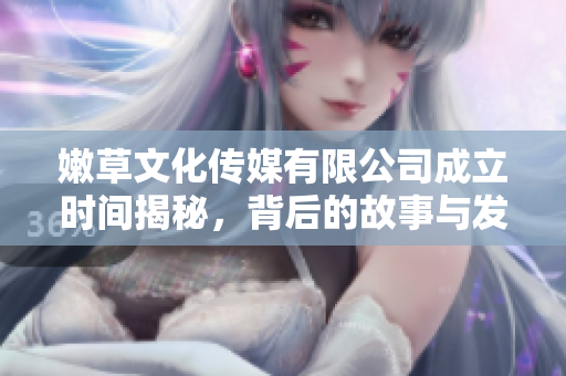 嫩草文化传媒有限公司成立时间揭秘，背后的故事与发展轨迹