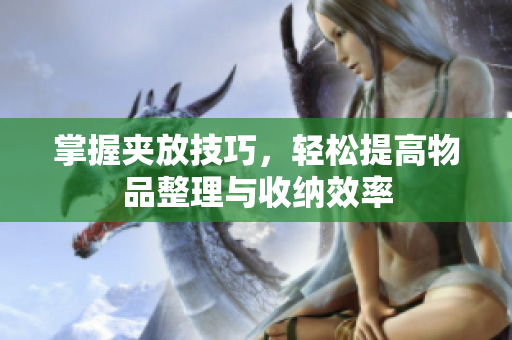 掌握夹放技巧，轻松提高物品整理与收纳效率