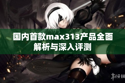 国内首款max313产品全面解析与深入评测