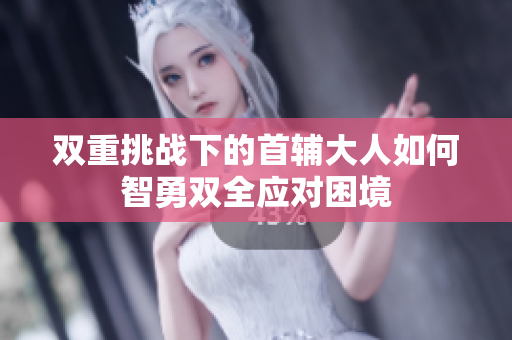 双重挑战下的首辅大人如何智勇双全应对困境