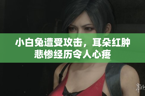 小白兔遭受攻击，耳朵红肿悲惨经历令人心疼