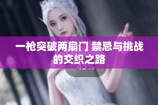 一枪突破两扇门 禁忌与挑战的交织之路