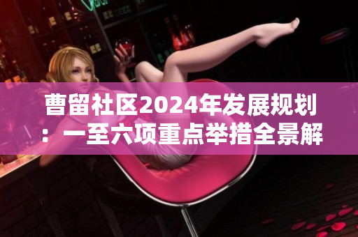 曹留社区2024年发展规划：一至六项重点举措全景解析