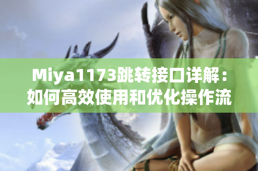 Miya1173跳转接口详解：如何高效使用和优化操作流程