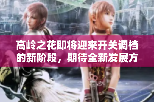 高岭之花即将迎来开关调档的新阶段，期待全新发展方向