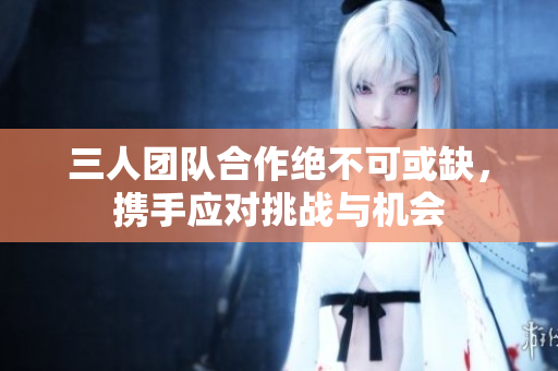 三人团队合作绝不可或缺，携手应对挑战与机会