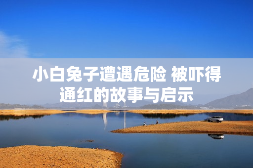 小白兔子遭遇危险 被吓得通红的故事与启示