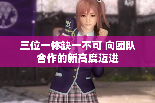 三位一体缺一不可 向团队合作的新高度迈进