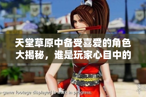 天堂草原中备受喜爱的角色大揭秘，谁是玩家心目中的明星？