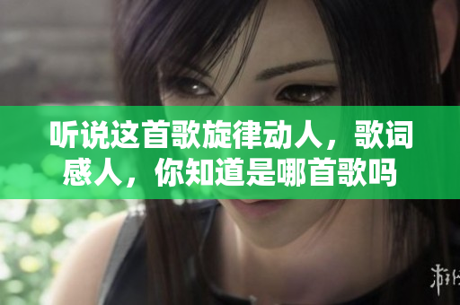 听说这首歌旋律动人，歌词感人，你知道是哪首歌吗