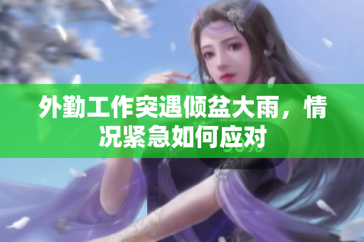 外勤工作突遇倾盆大雨，情况紧急如何应对