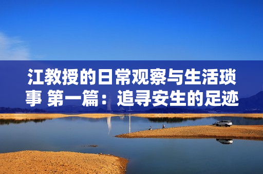 江教授的日常观察与生活琐事 第一篇：追寻安生的足迹