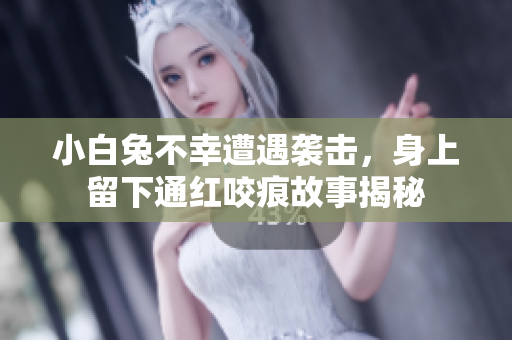 小白兔不幸遭遇袭击，身上留下通红咬痕故事揭秘