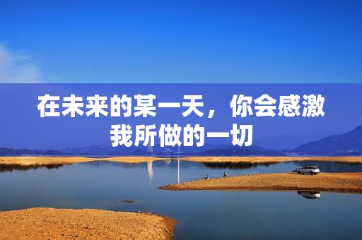 在未来的某一天，你会感激我所做的一切