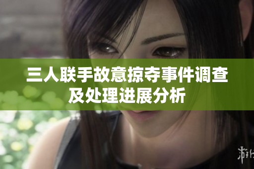 三人联手故意掠夺事件调查及处理进展分析