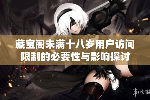 藏宝阁未满十八岁用户访问限制的必要性与影响探讨