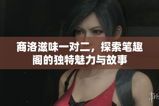 商洛滋味一对二，探索笔趣阁的独特魅力与故事