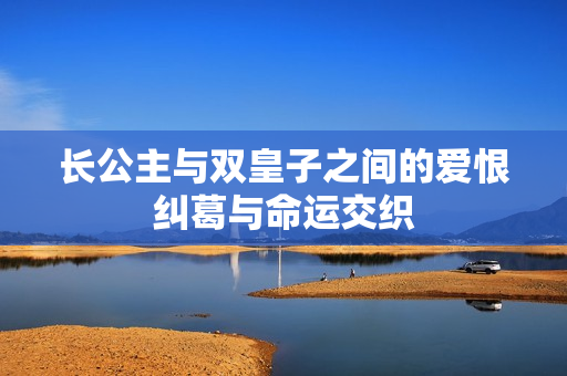 长公主与双皇子之间的爱恨纠葛与命运交织