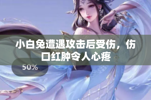 小白兔遭遇攻击后受伤，伤口红肿令人心疼
