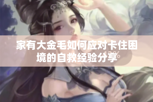 家有大金毛如何应对卡住困境的自救经验分享