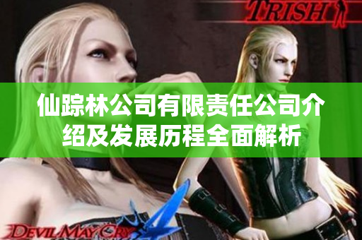 仙踪林公司有限责任公司介绍及发展历程全面解析