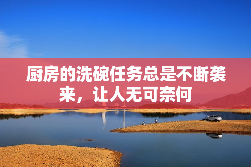 厨房的洗碗任务总是不断袭来，让人无可奈何