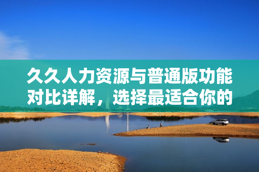 久久人力资源与普通版功能对比详解，选择最适合你的方案