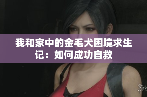 我和家中的金毛犬困境求生记：如何成功自救