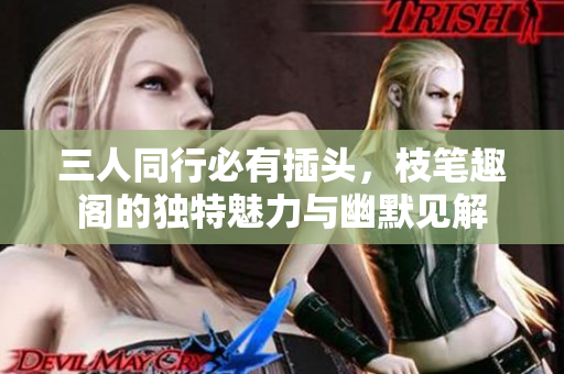 三人同行必有插头，枝笔趣阁的独特魅力与幽默见解