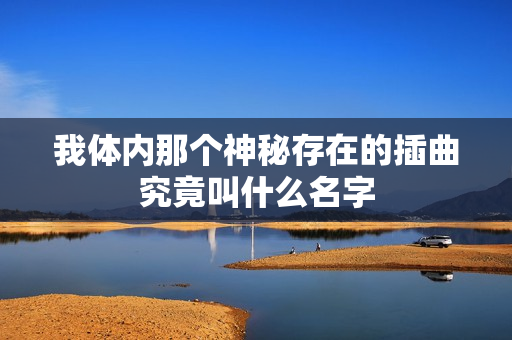 我体内那个神秘存在的插曲究竟叫什么名字