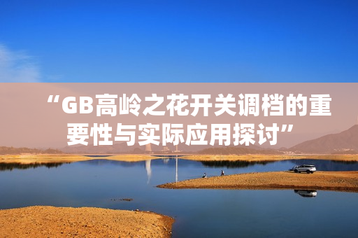 “GB高岭之花开关调档的重要性与实际应用探讨”