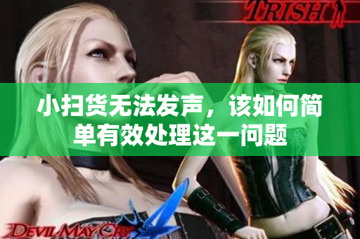 小扫货无法发声，该如何简单有效处理这一问题