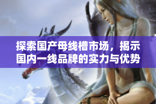 探索国产母线槽市场，揭示国内一线品牌的实力与优势