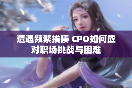 遭遇频繁挨揍 CPO如何应对职场挑战与困难