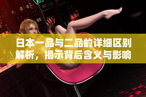 日本一品与二品的详细区别解析，揭示背后含义与影响