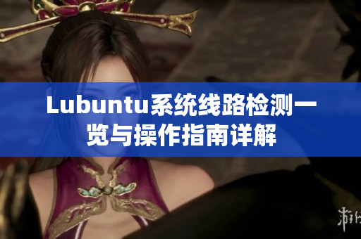 Lubuntu系统线路检测一览与操作指南详解