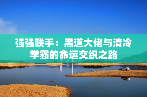 强强联手：黑道大佬与清冷学霸的命运交织之路