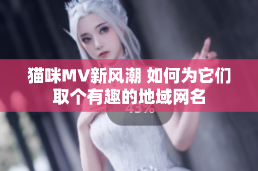 猫咪MV新风潮 如何为它们取个有趣的地域网名