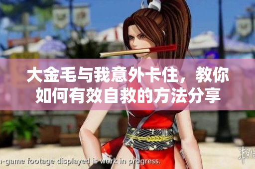 大金毛与我意外卡住，教你如何有效自救的方法分享