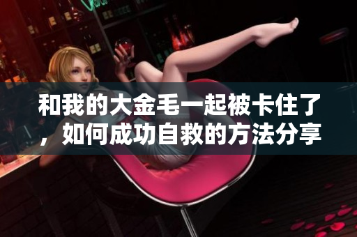 和我的大金毛一起被卡住了，如何成功自救的方法分享