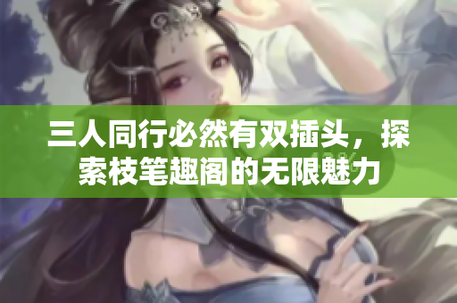 三人同行必然有双插头，探索枝笔趣阁的无限魅力